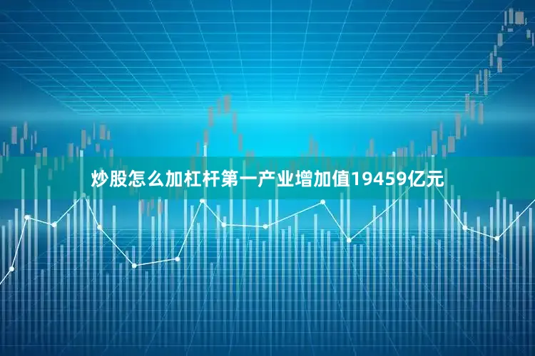 炒股怎么加杠杆第一产业增加值19459亿元
