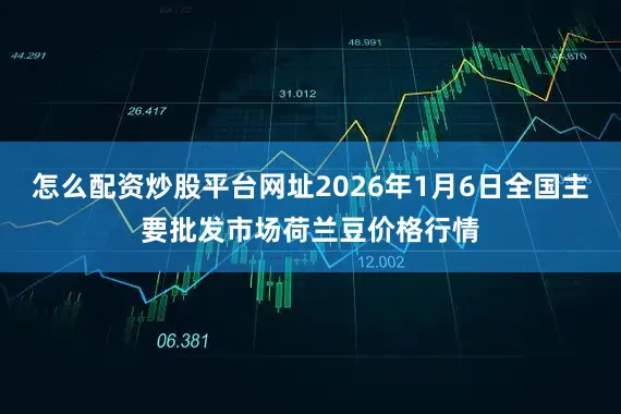 怎么配资炒股平台网址2026年1月6日全国主要批发市场荷兰豆价格行情
