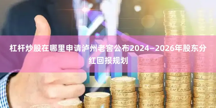杠杆炒股在哪里申请泸州老窖公布2024—2026年股东分红回报规划
